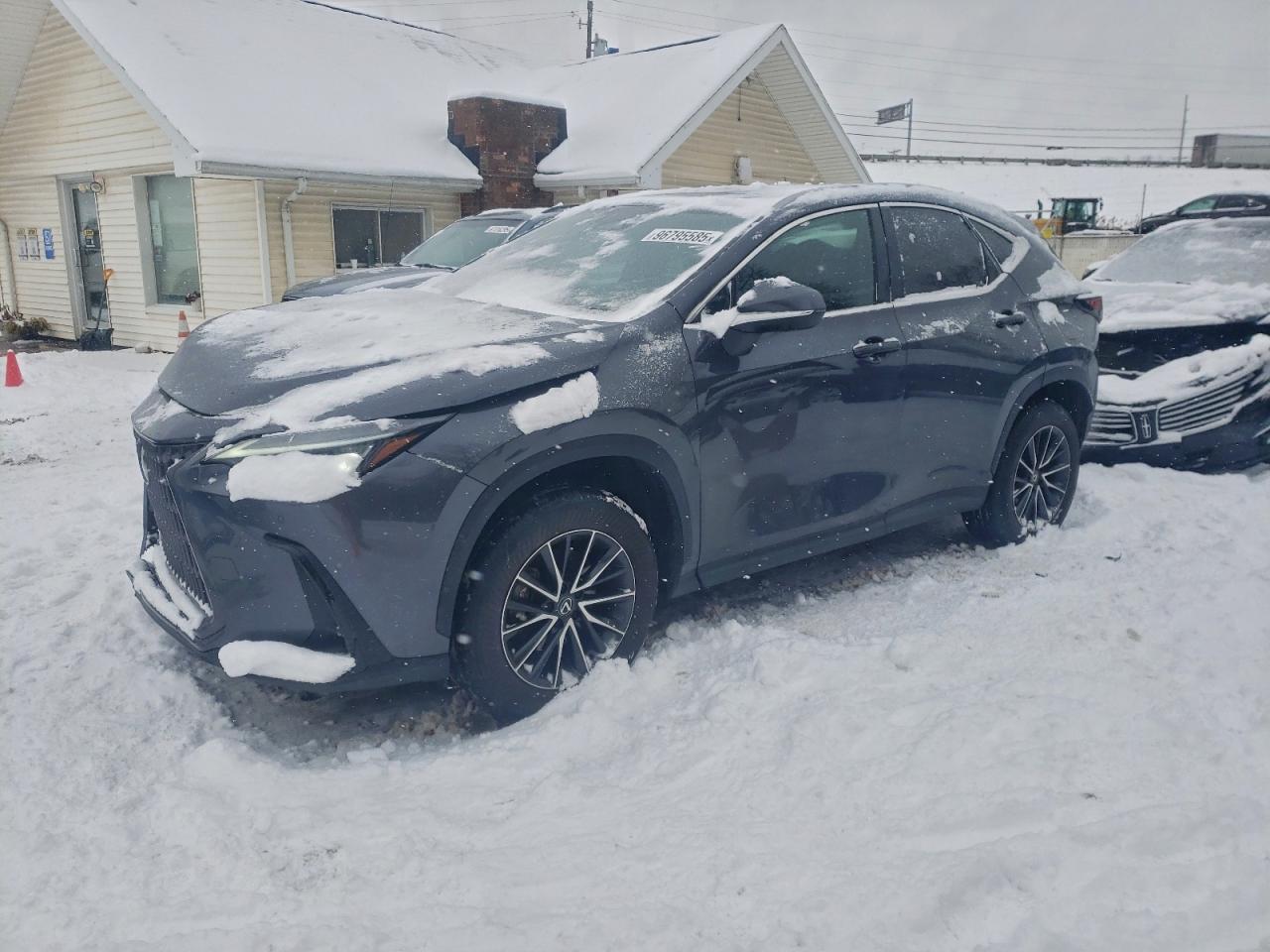 2024 LEXUS NX