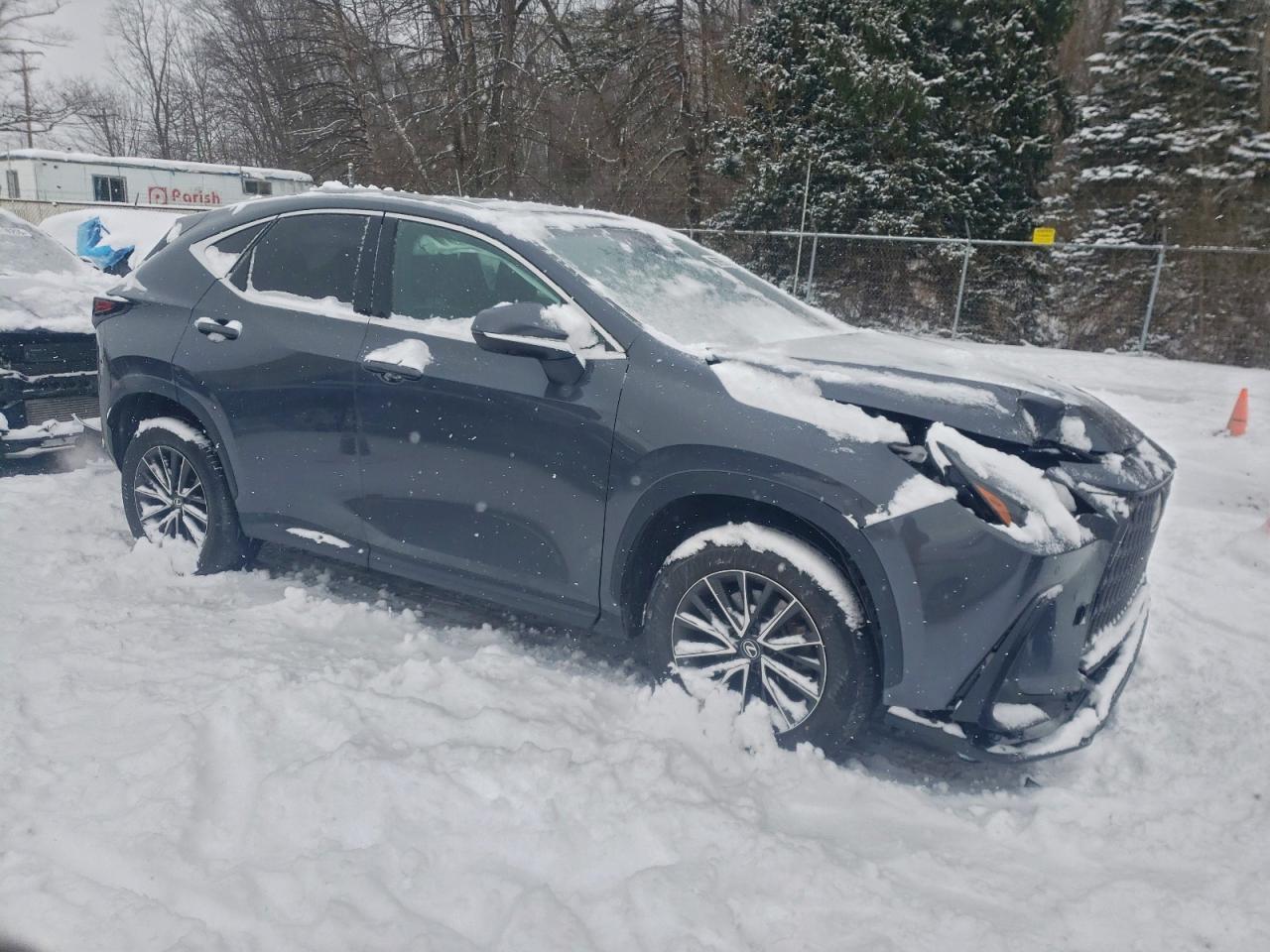 2024 LEXUS NX 350 PREMIUM photo 4