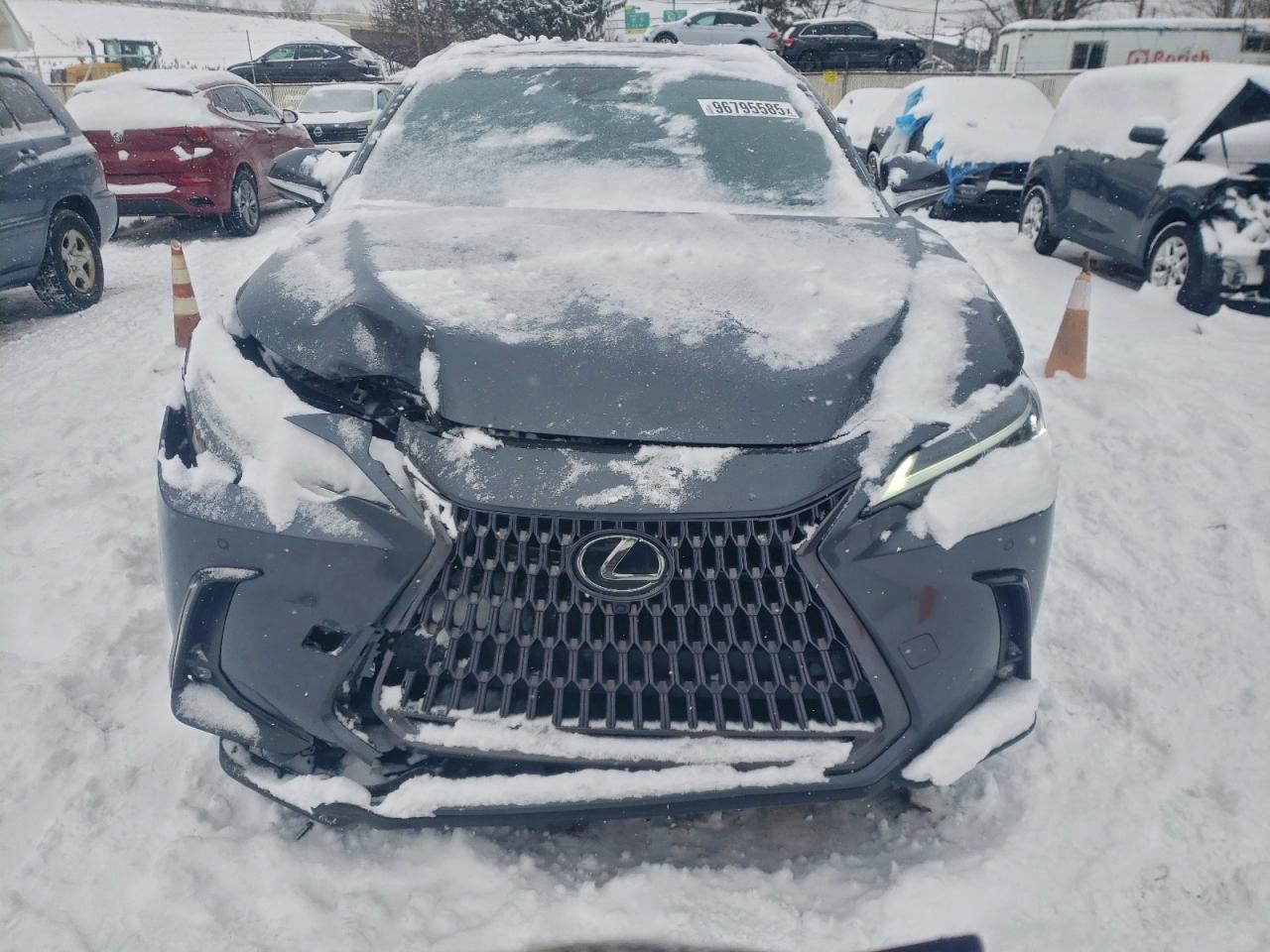 2024 LEXUS NX 350 PREMIUM photo 5