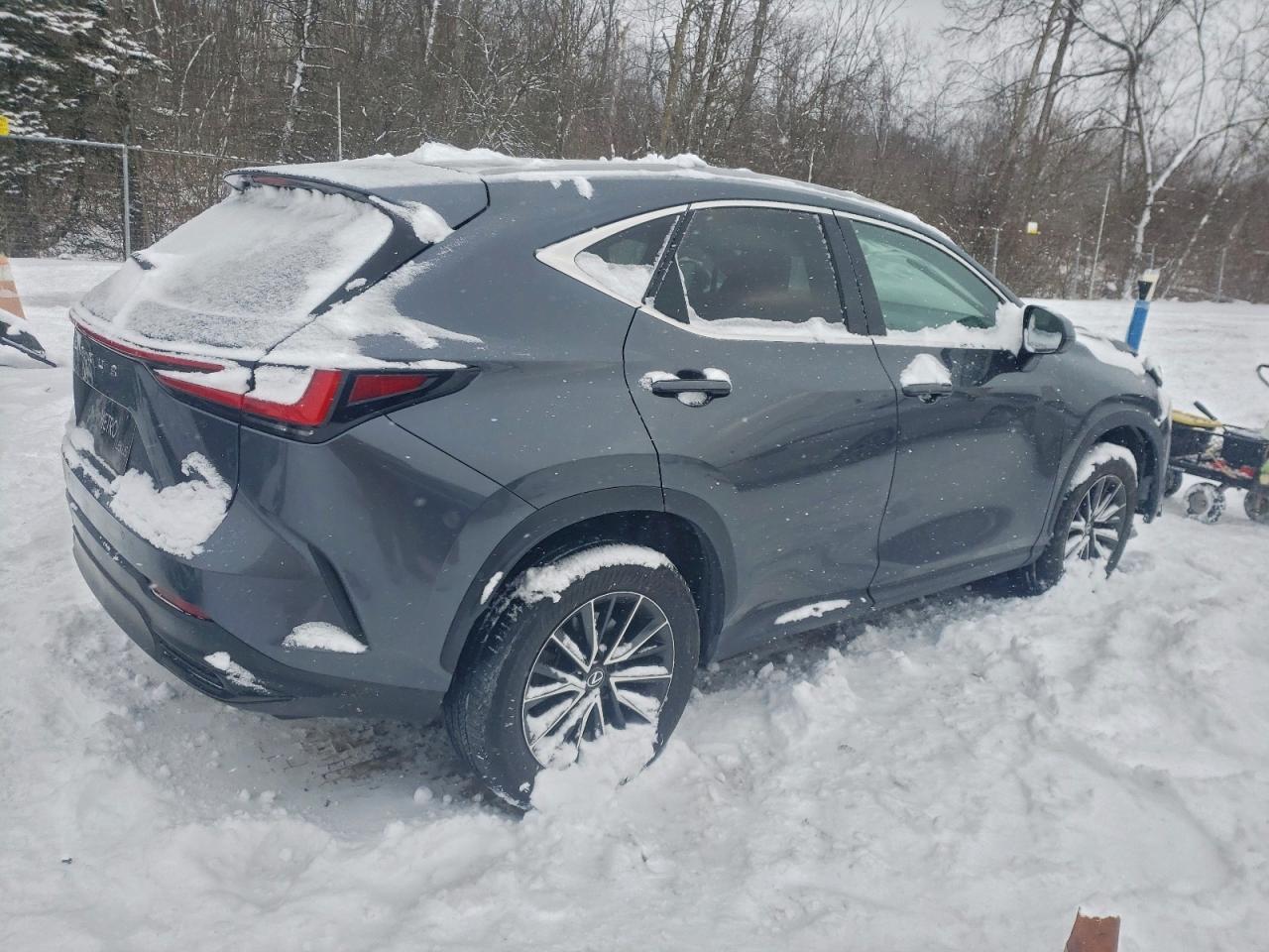 2024 LEXUS NX 350 PREMIUM photo 3