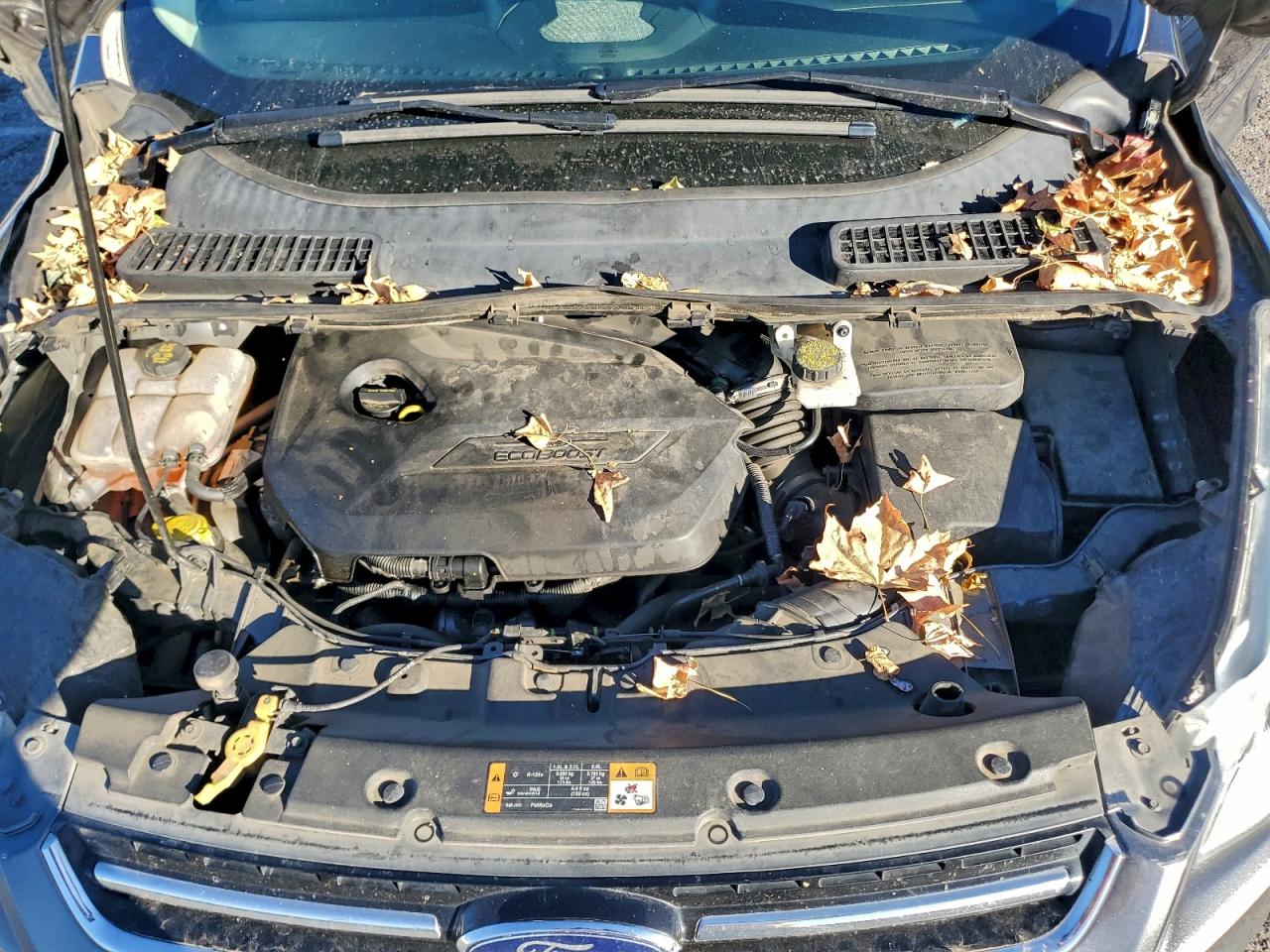 2014 FORD ESCAPE TITANIUM photo 12