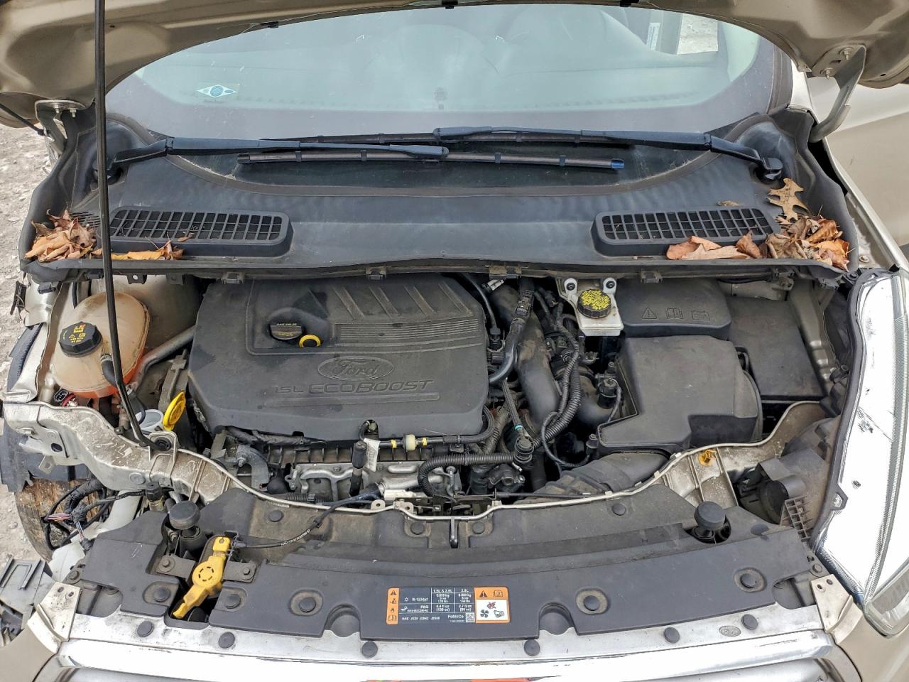 2017 FORD ESCAPE SE photo 12
