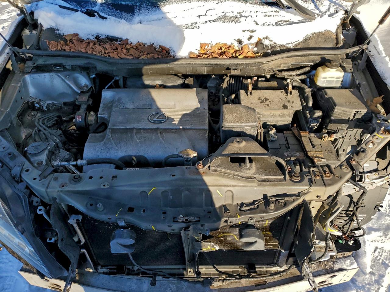 2015 LEXUS RX 350 BASE photo 12