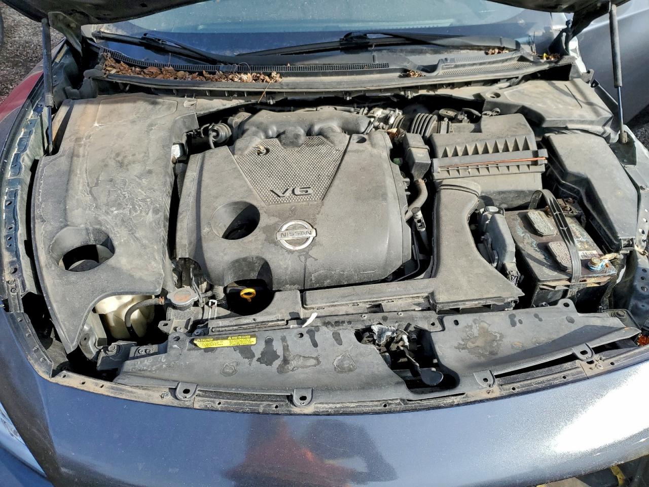 2009 NISSAN MAXIMA S photo 11