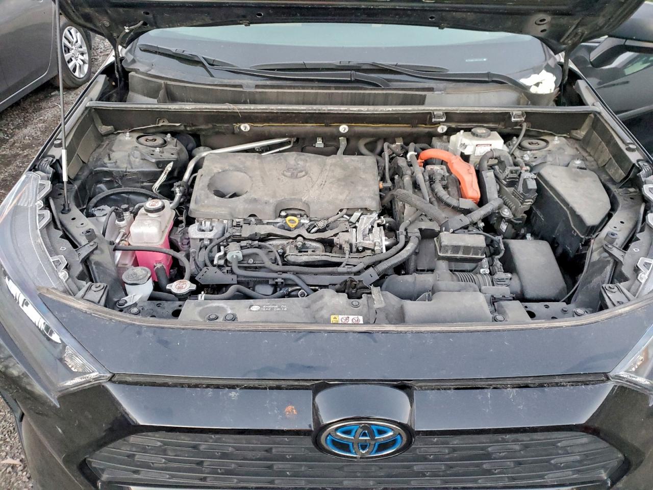 2021 TOYOTA RAV4 LE photo 12