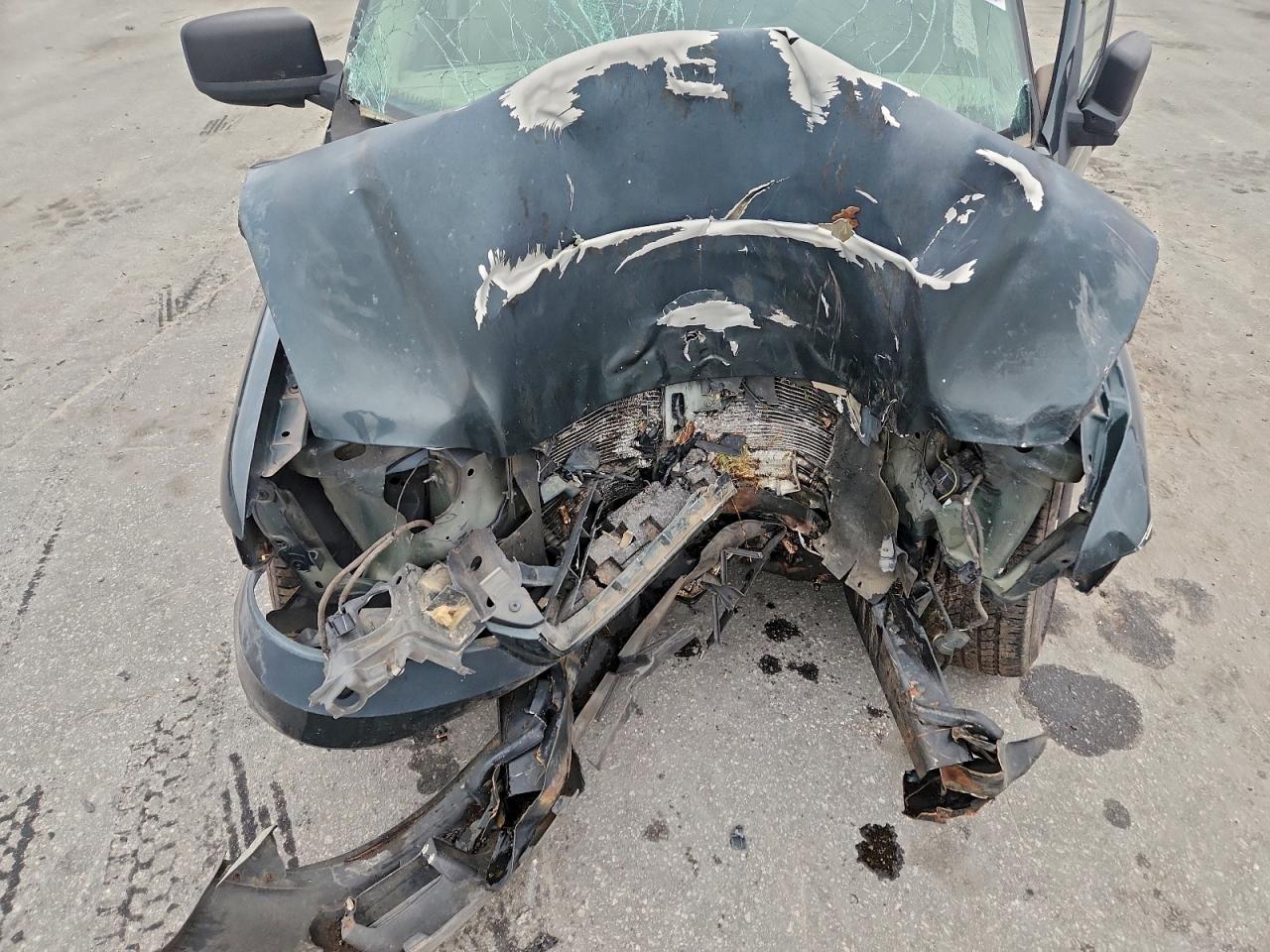 2004 FORD EXPEDITION XLT photo 12
