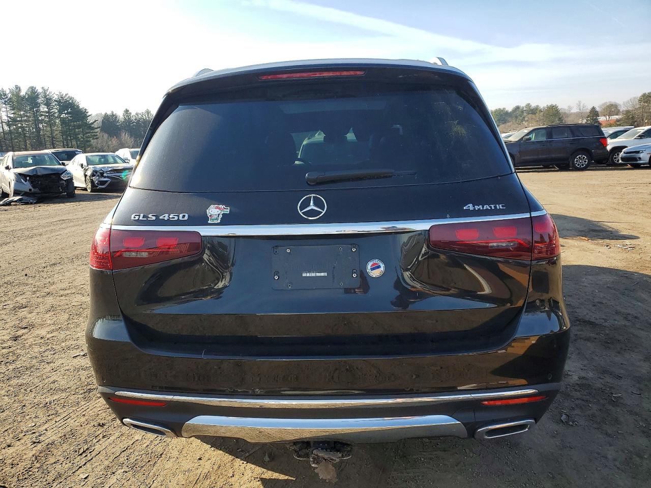 2024 MERCEDES-BENZ GLS 450 4MATIC photo 6