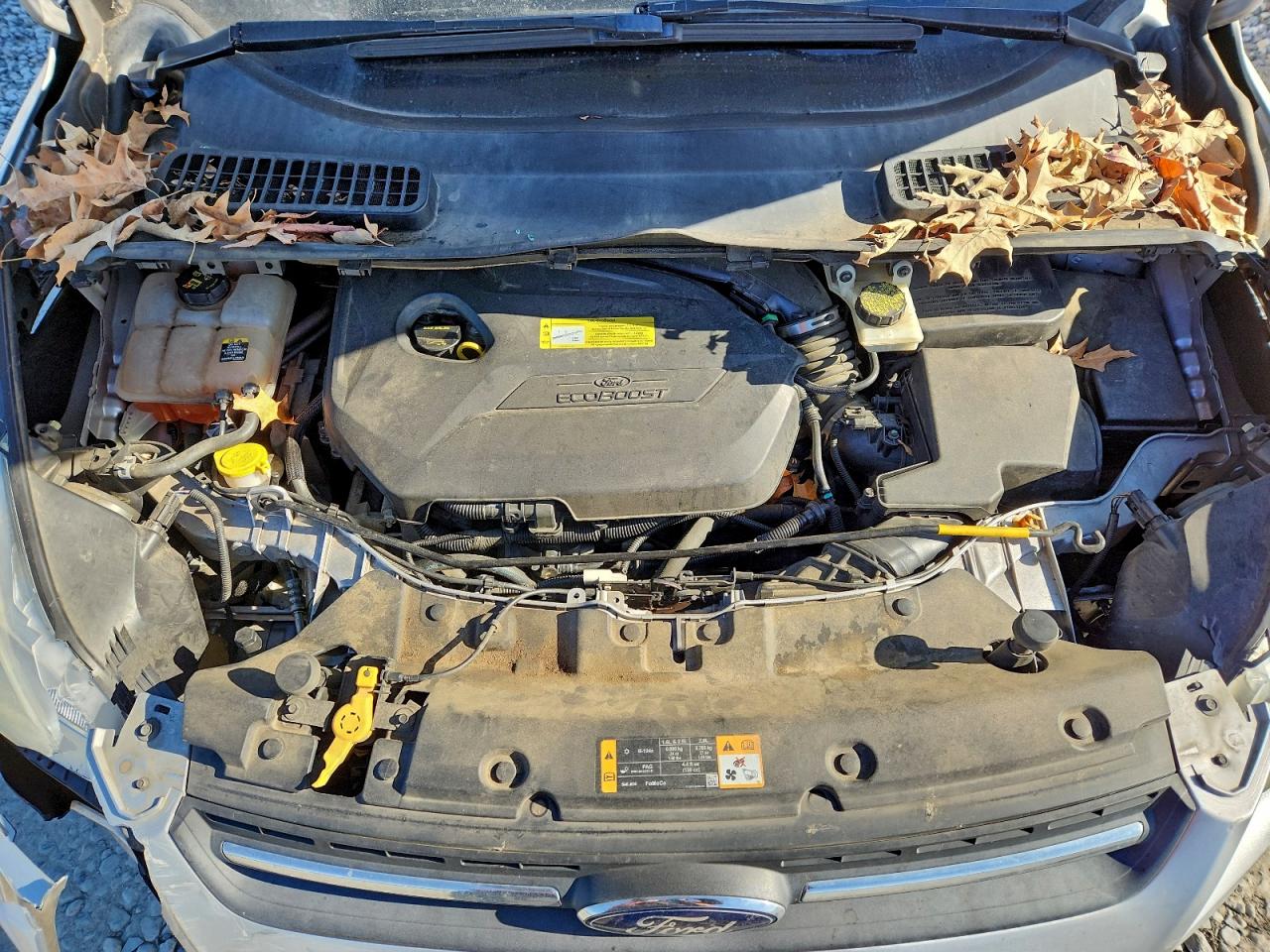 2013 FORD ESCAPE SE photo 12