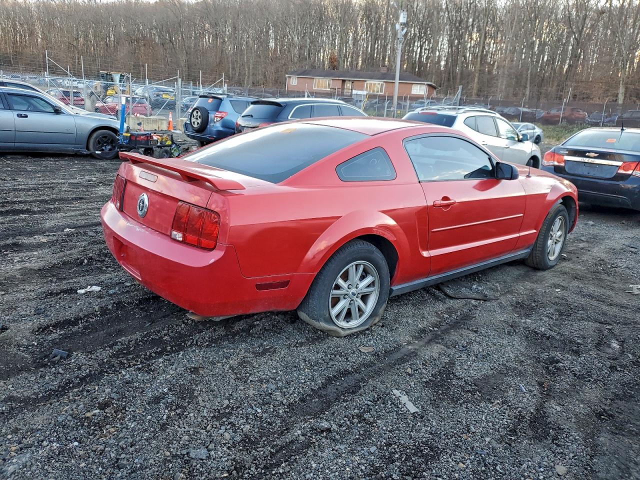 2005 FORD MUSTANG photo 3