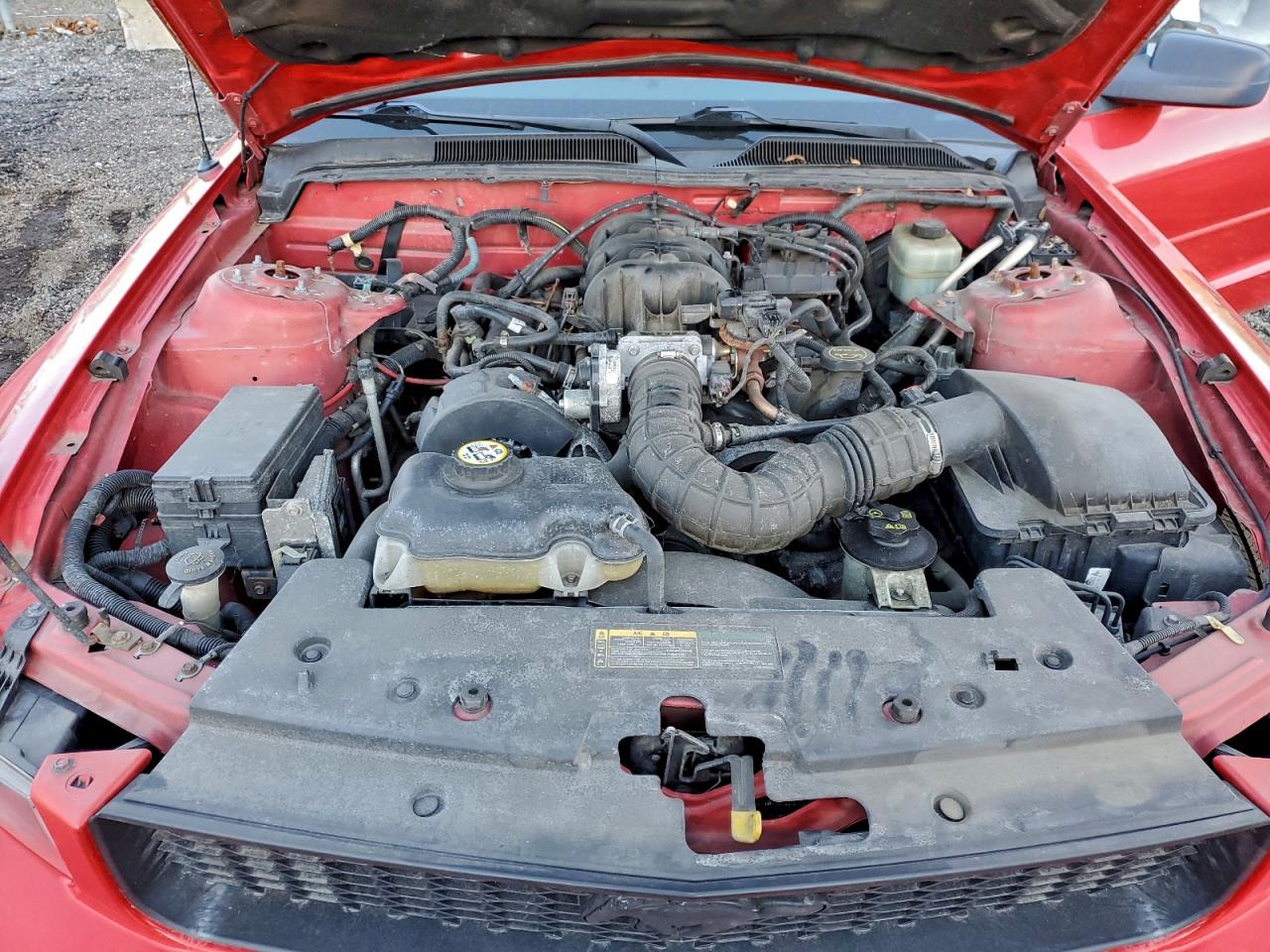 2005 FORD MUSTANG photo 11