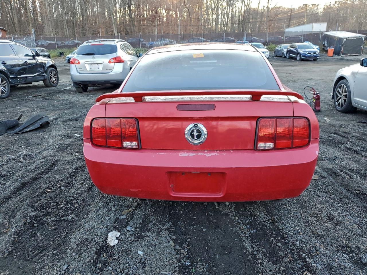 2005 FORD MUSTANG photo 6