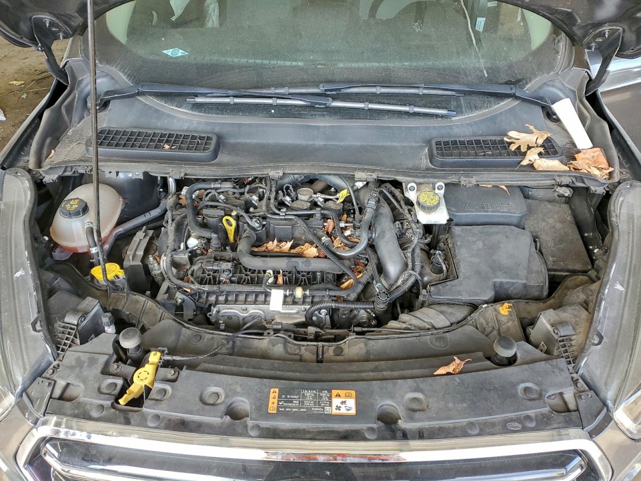 2019 FORD ESCAPE SE photo 12