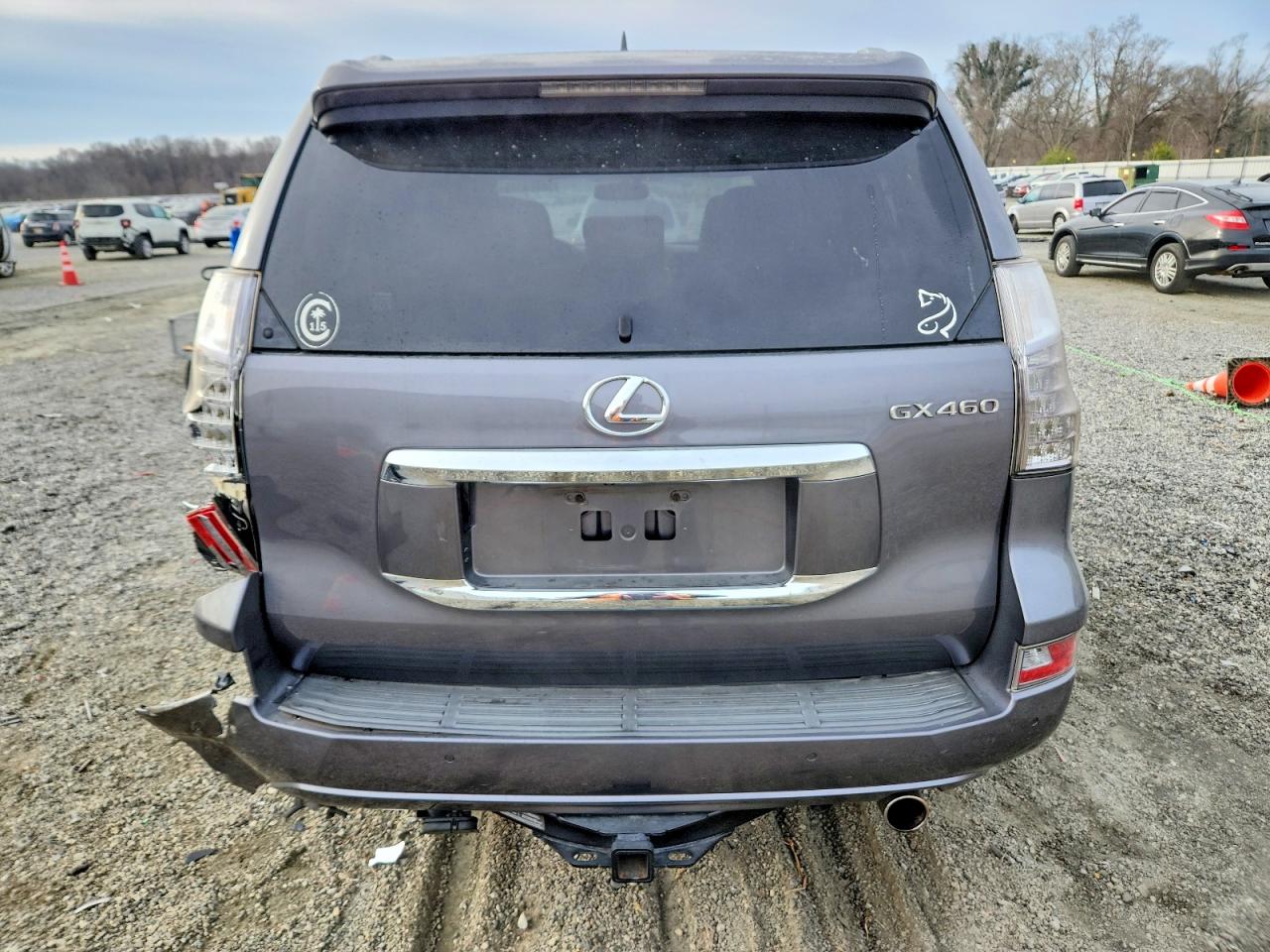 2015 LEXUS GX 460 photo 6