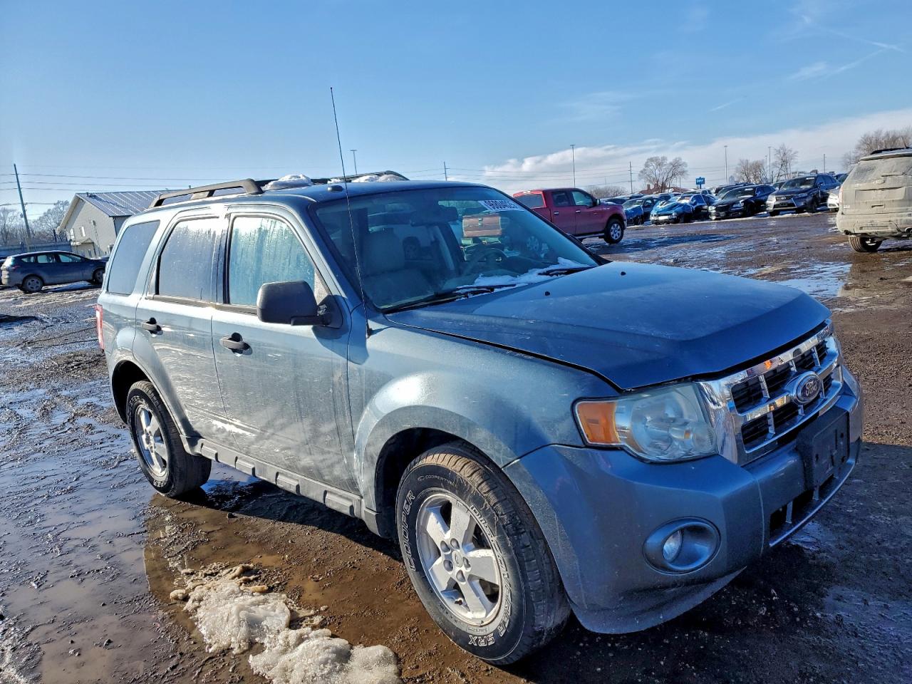 2010 FORD ESCAPE XLT photo 7