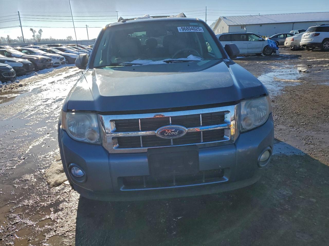 2010 FORD ESCAPE XLT photo 9