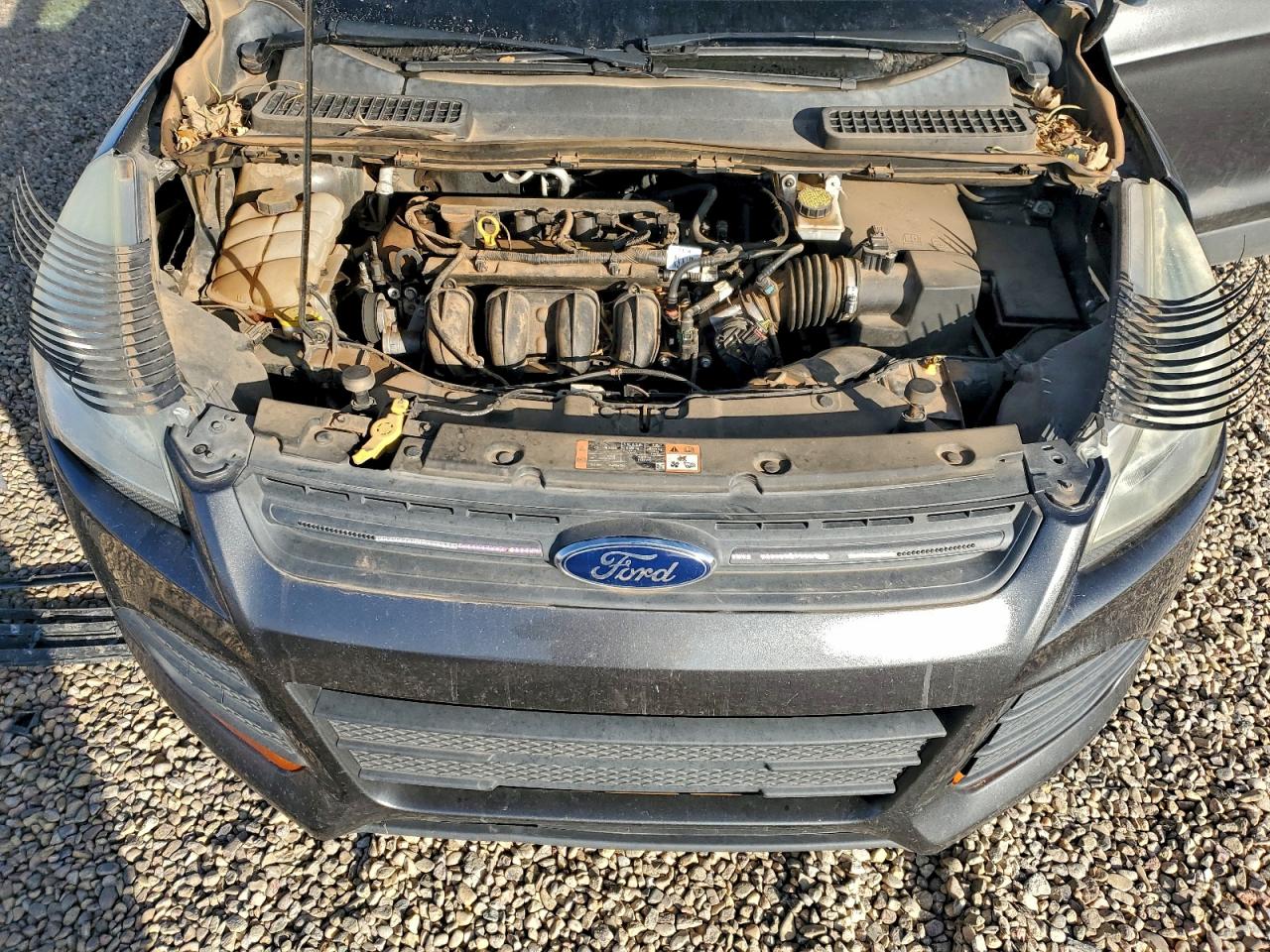2016 FORD ESCAPE S photo 12