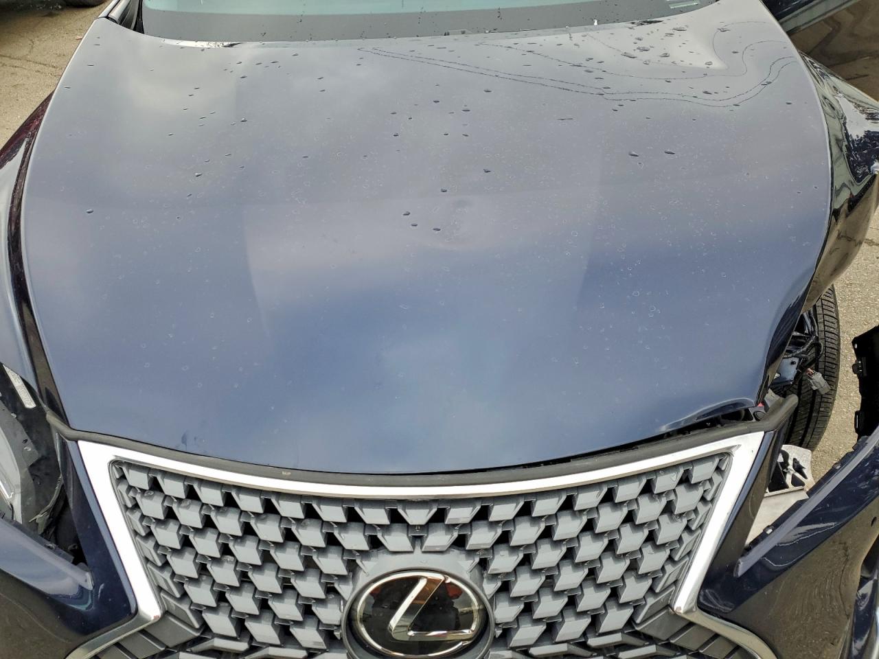 2022 LEXUS RX 350 photo 12
