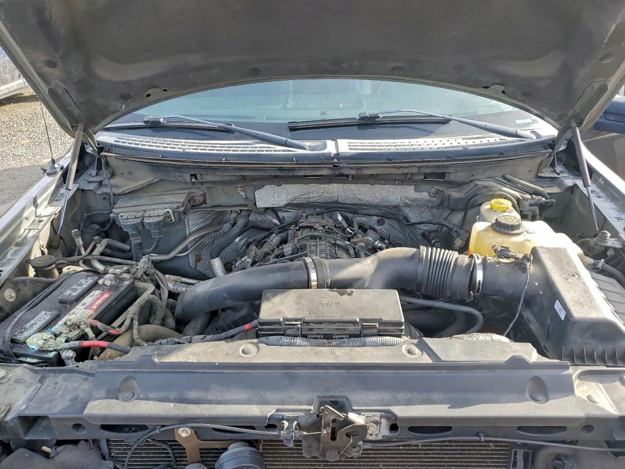 2014 FORD F150 SUPERCREW photo 11