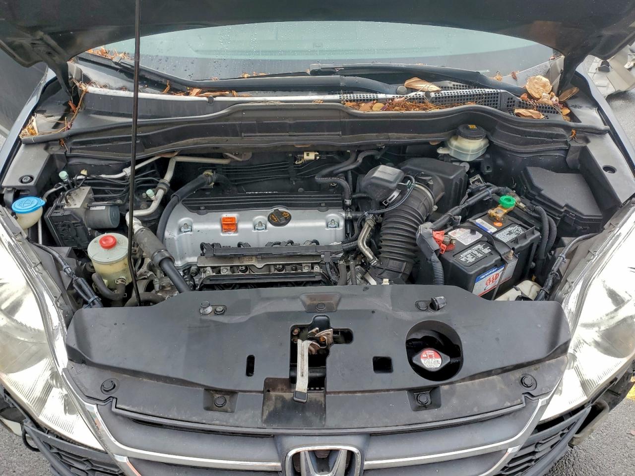 2010 HONDA CR-V LX photo 12