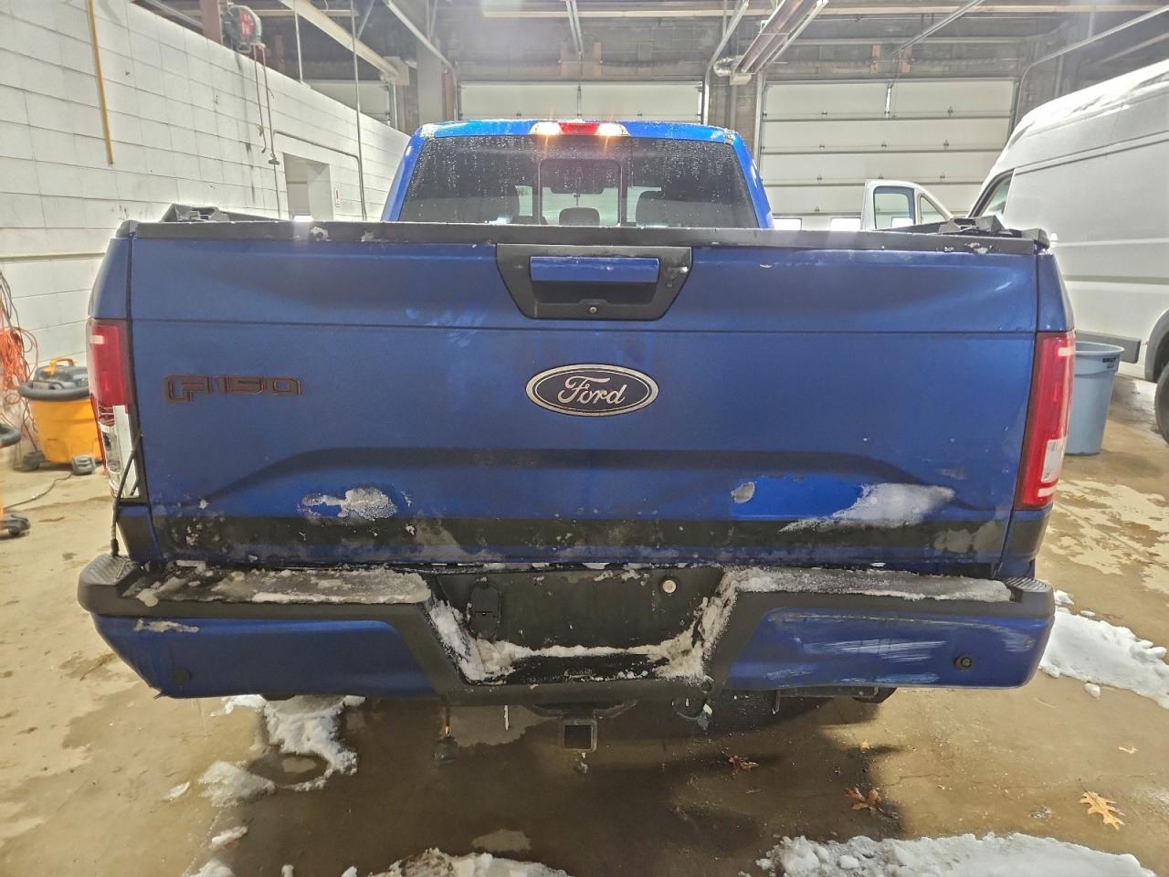 2017 FORD F150 photo 11