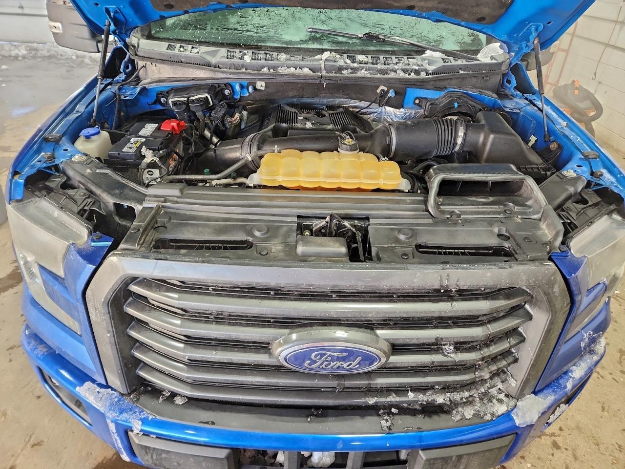 2017 FORD F150 photo 21