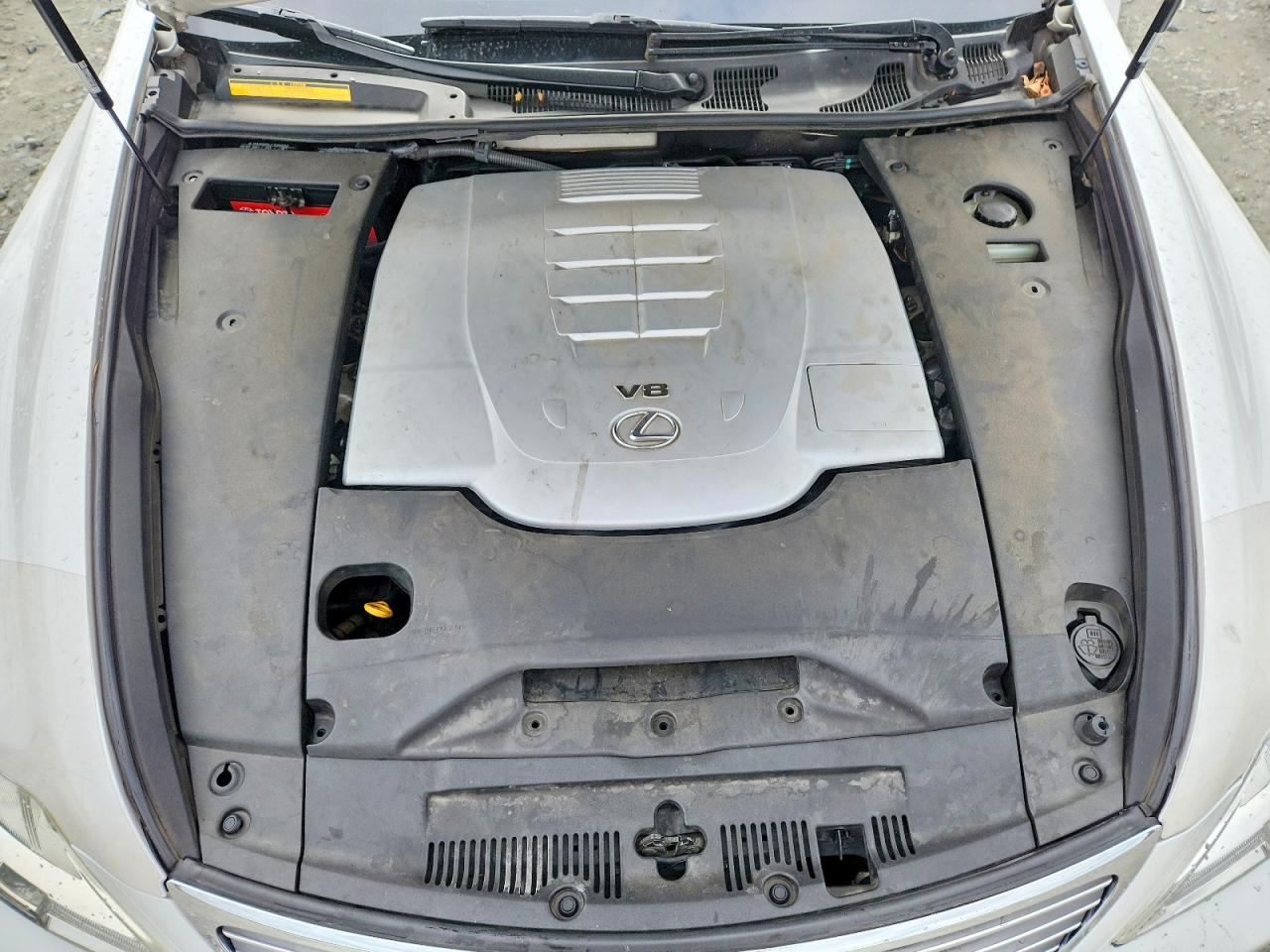 2009 LEXUS LS 460 photo 11