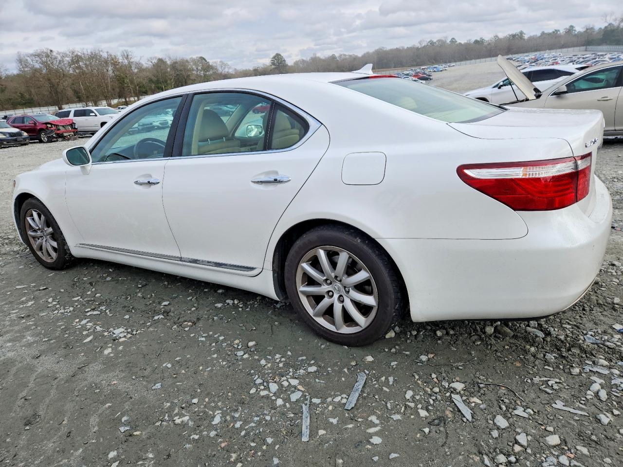 2009 LEXUS LS 460 photo 2