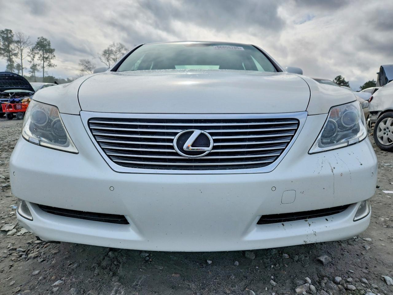 2009 LEXUS LS 460 photo 5