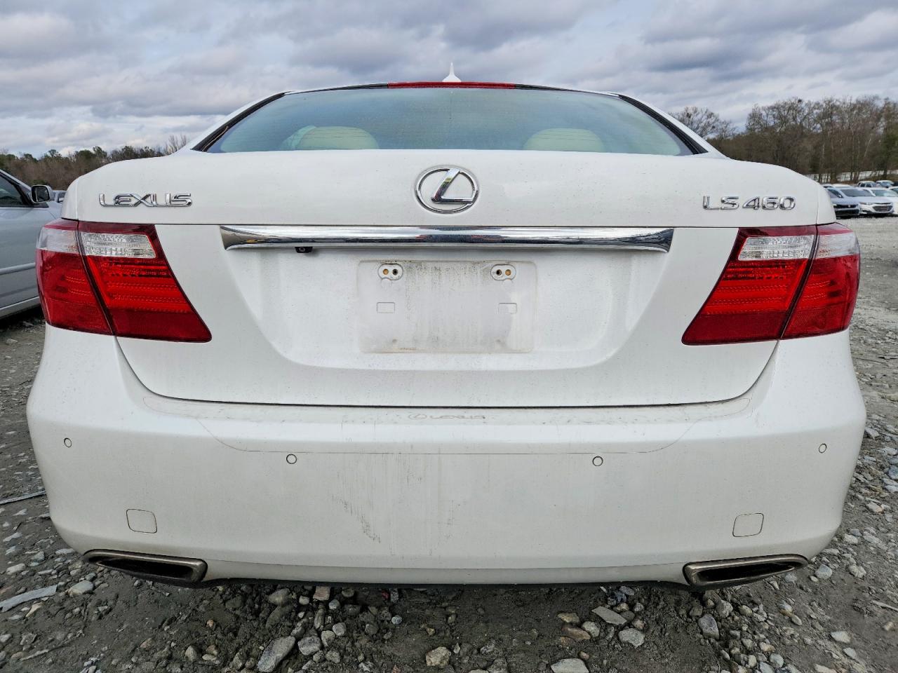 2009 LEXUS LS 460 photo 6