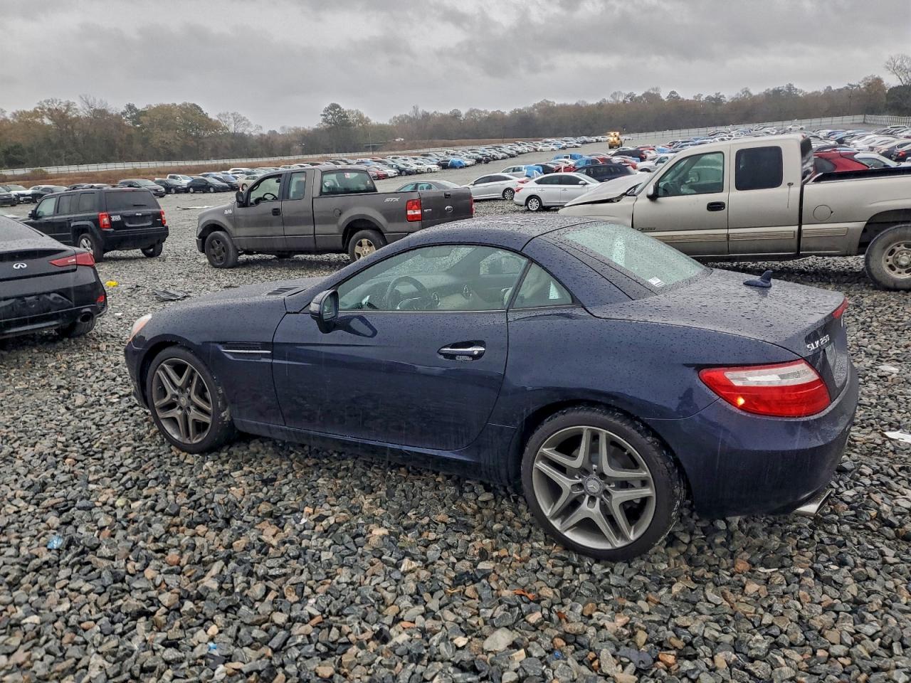 2015 MERCEDES-BENZ SLK 250 photo 2