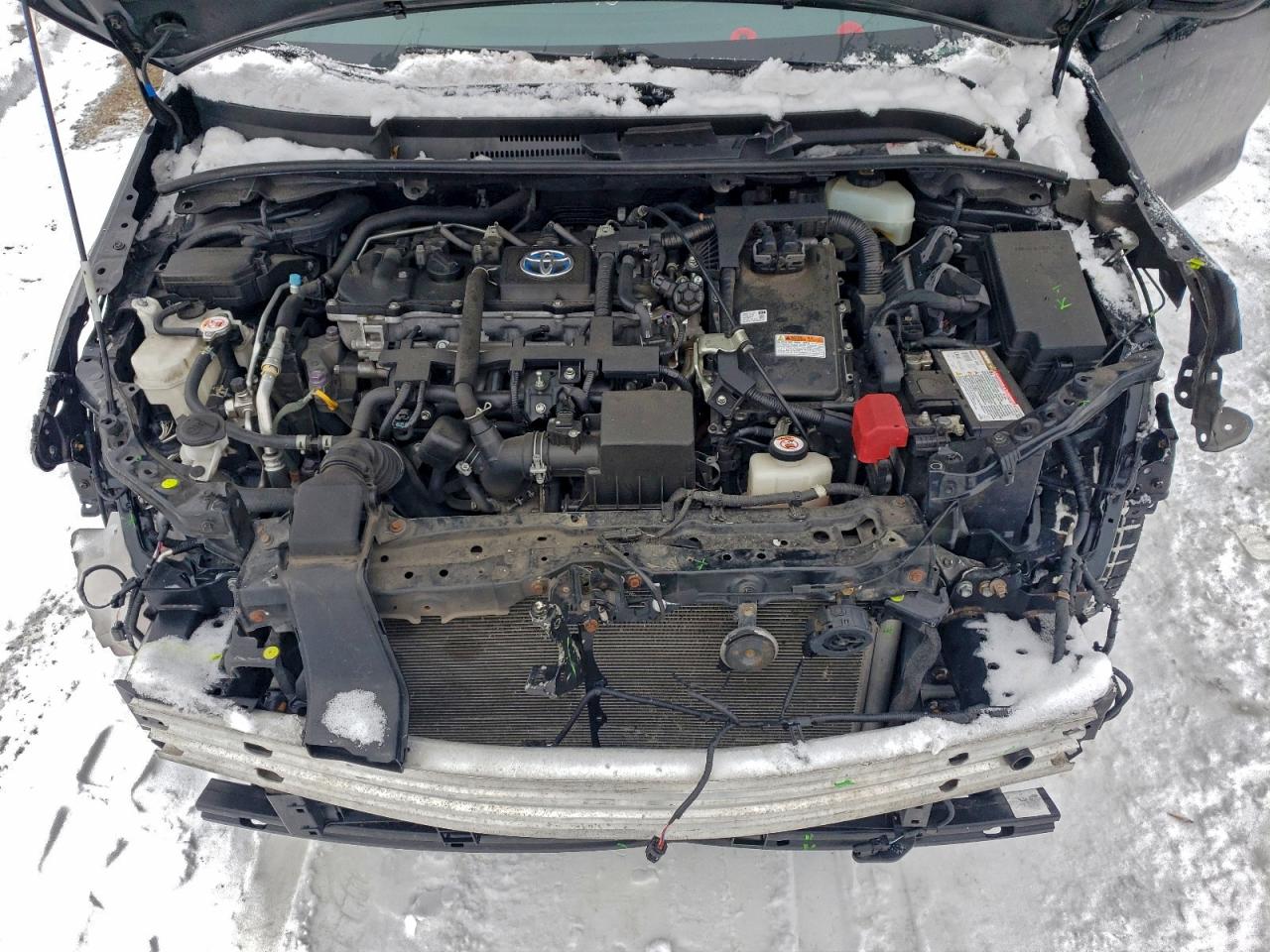 2021 TOYOTA COROLLA photo 11