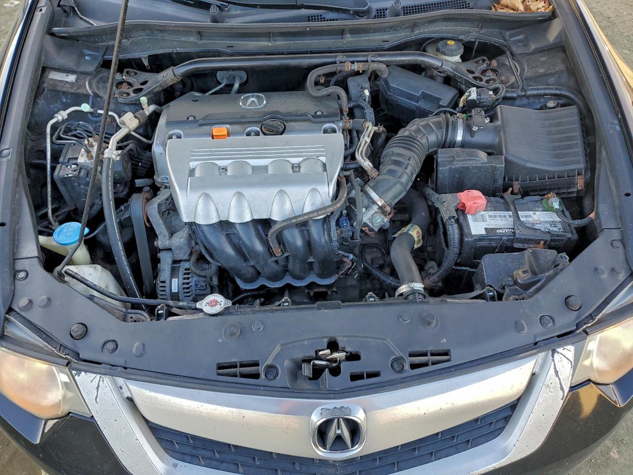 2010 ACURA TSX photo 11