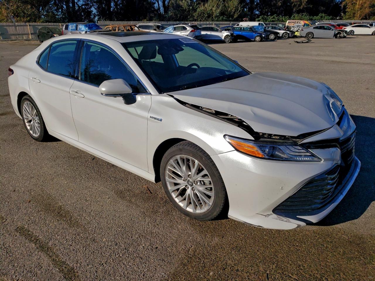 2020 TOYOTA CAMRY XLE photo 4