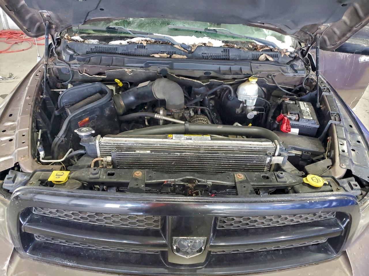 2010 DODGE RAM 1500 photo 11