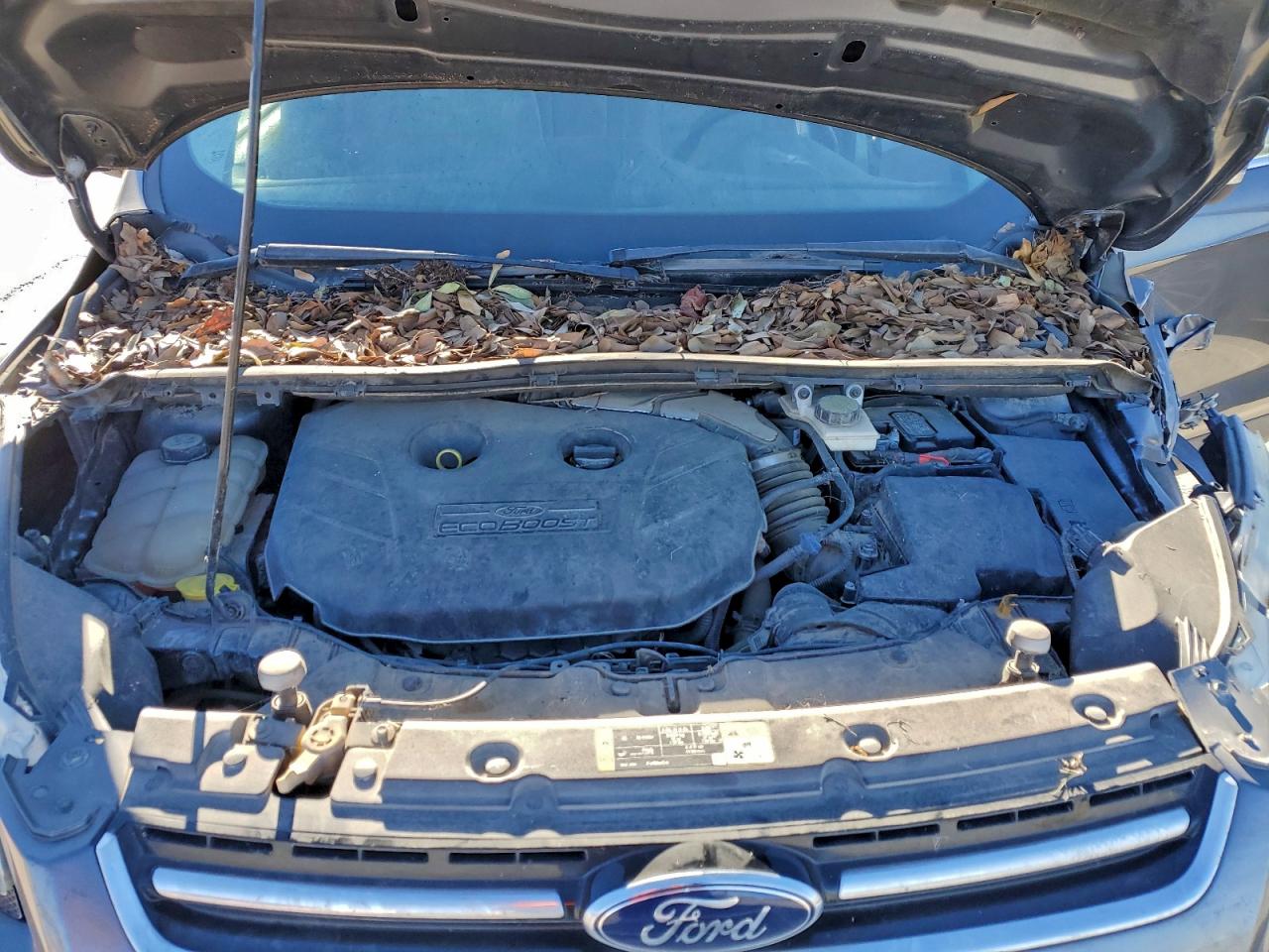 2013 FORD ESCAPE photo 12