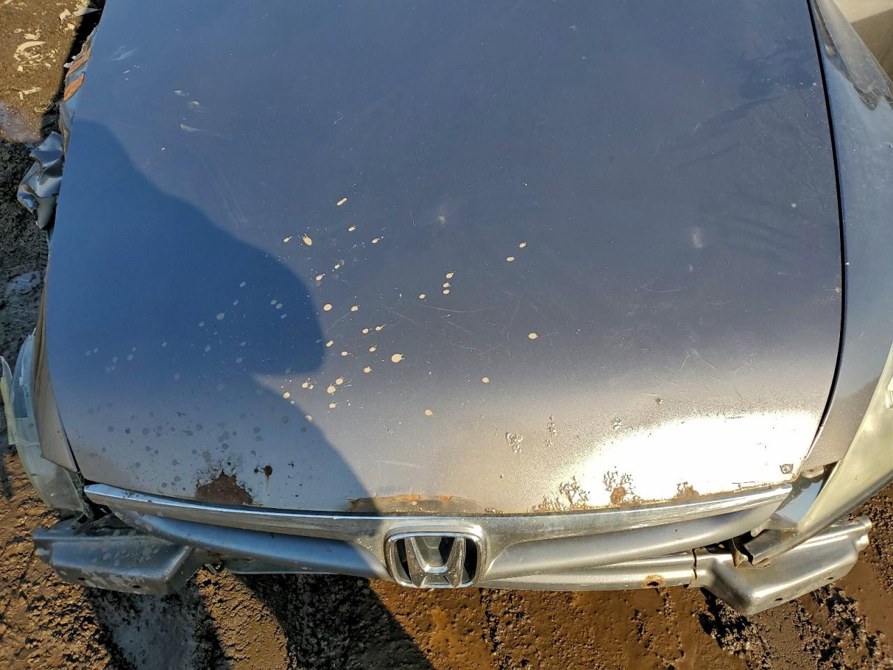 2007 HONDA ACCORD EX photo 11