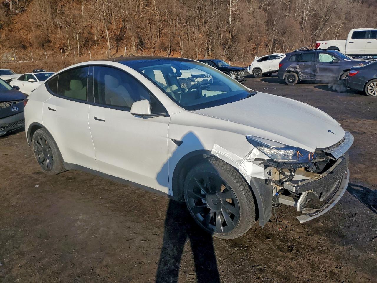 2021 TESLA MODEL Y photo 4
