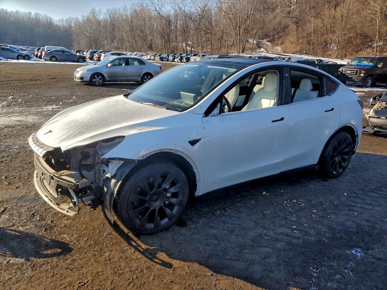 2021 TESLA MODEL Y