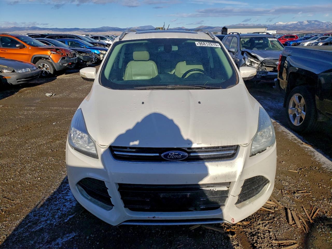 2014 FORD ESCAPE TITANIUM photo 5