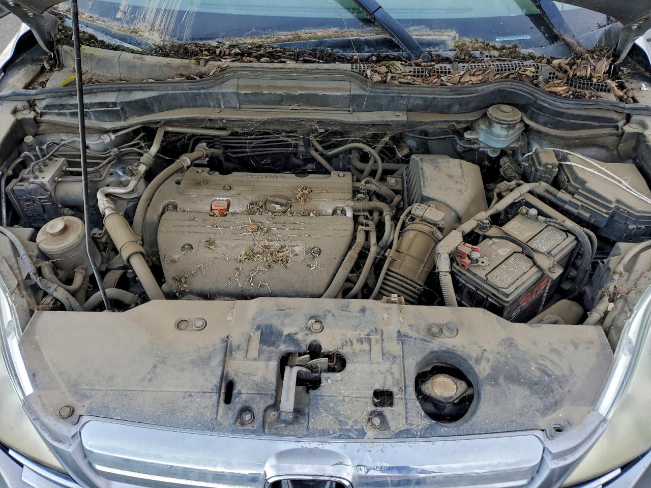2007 HONDA CR-V EXL photo 12
