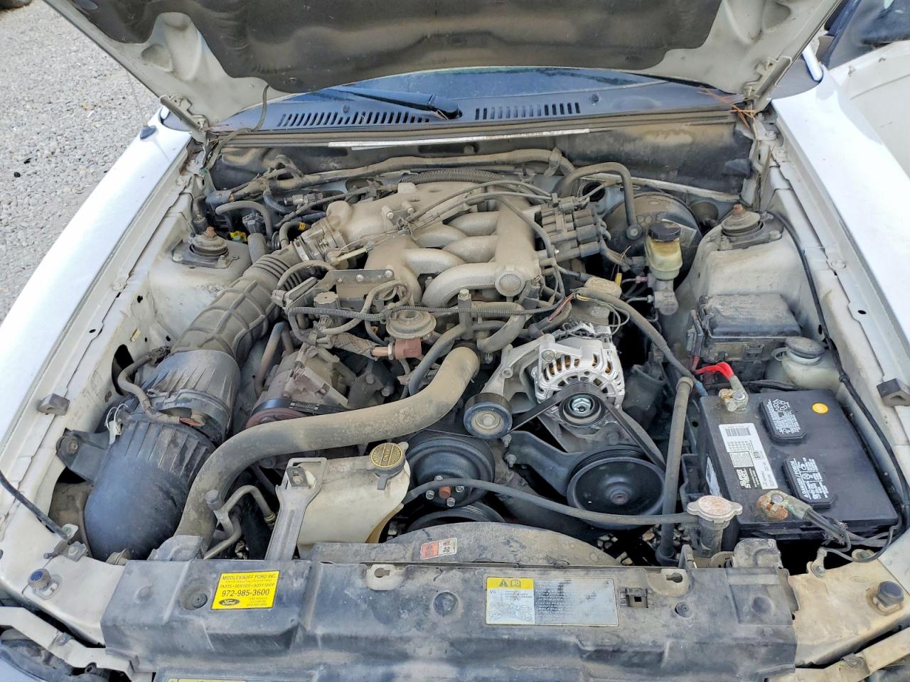 2004 FORD MUSTANG photo 11