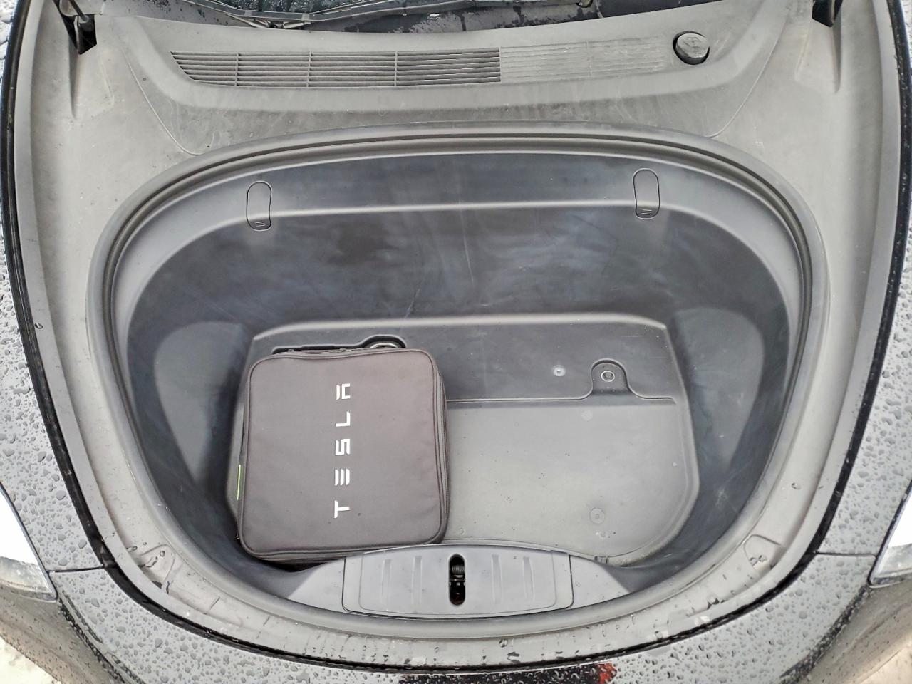 2019 TESLA MODEL 3 photo 10