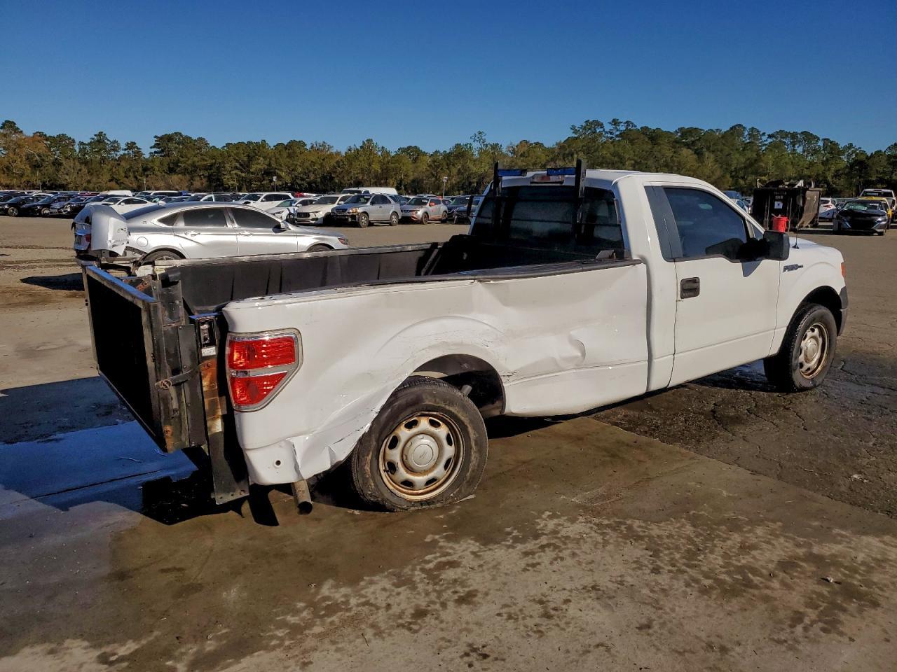 2014 FORD F150 photo 3