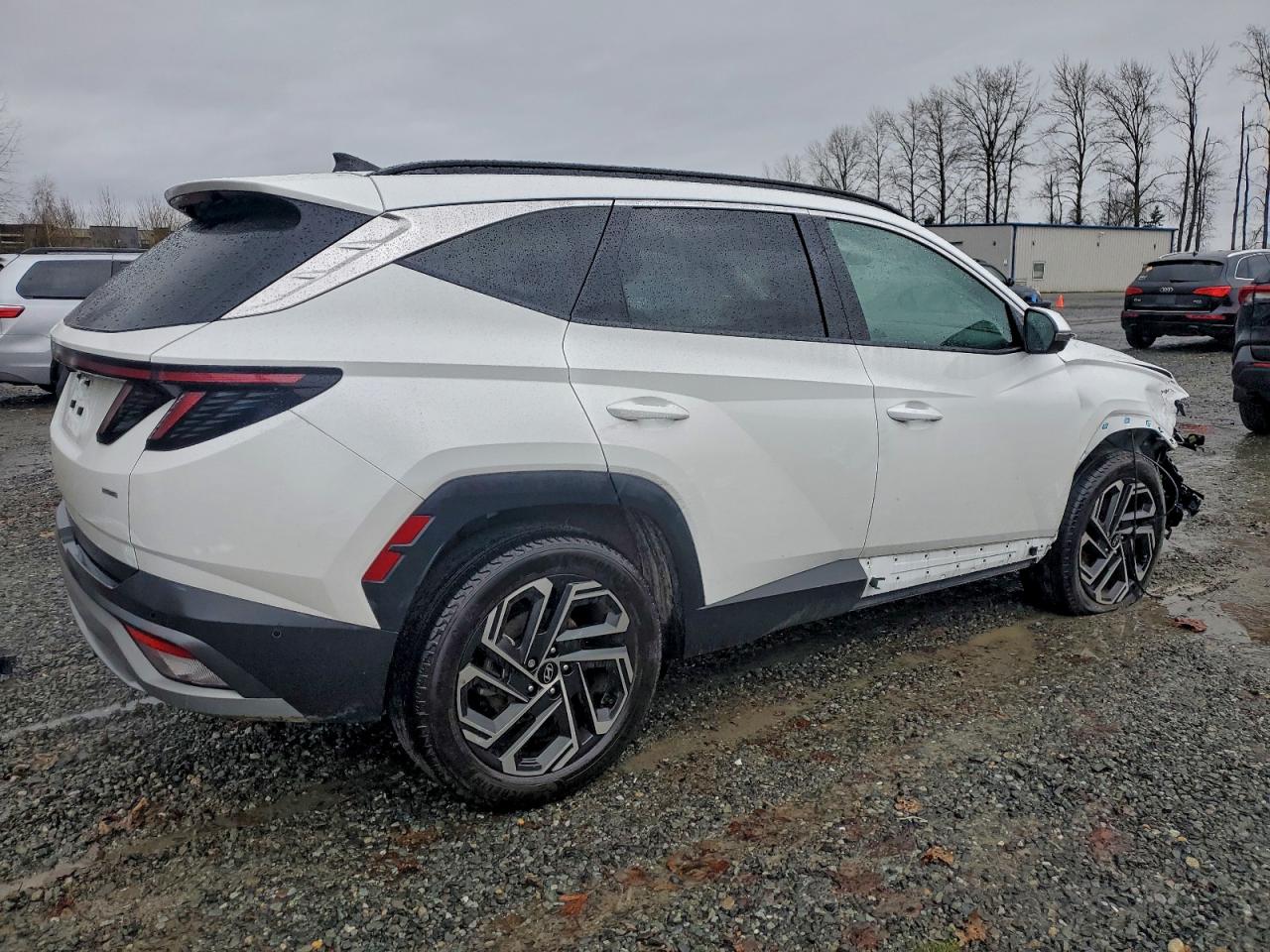 2025 HYUNDAI TUCSON LIMITED photo 3