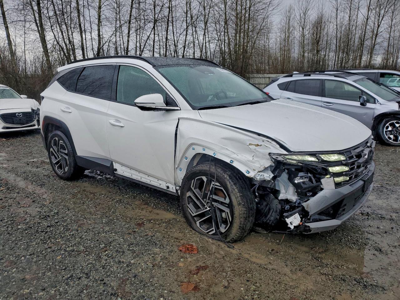2025 HYUNDAI TUCSON LIMITED photo 4