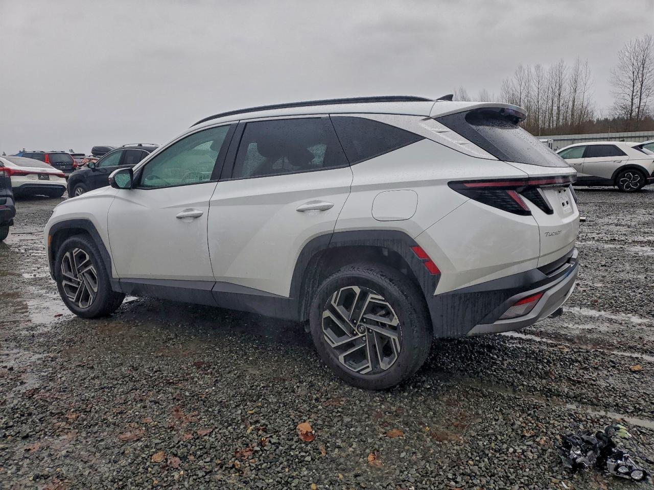2025 HYUNDAI TUCSON LIMITED photo 2