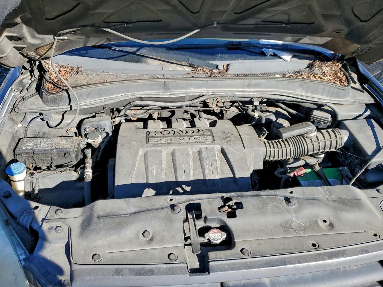 2005 HONDA PILOT EXL photo 12