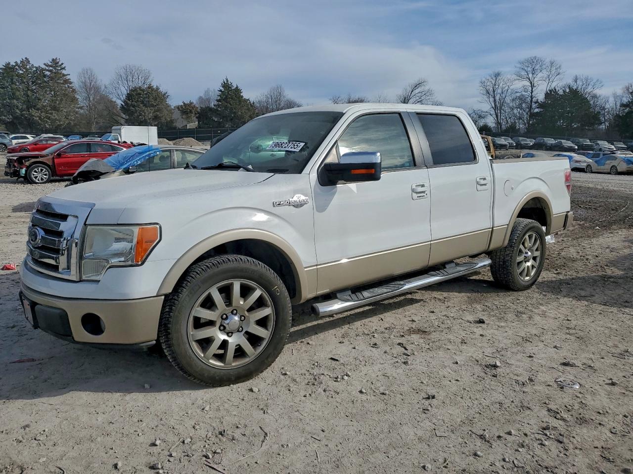 2010 FORD F150
