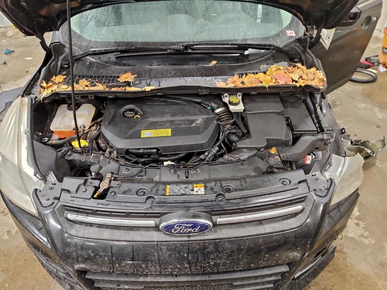 2013 FORD ESCAPE SE photo 12