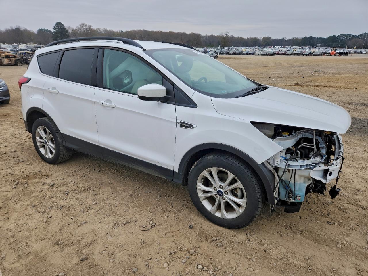 2019 FORD ESCAPE SEL photo 4